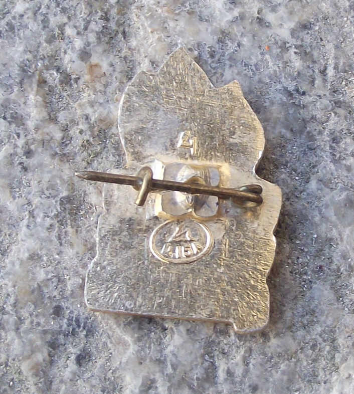 1972 Soviet Union Young Pioneer Youth 50th Anniversary Flames Motif Pin Badge