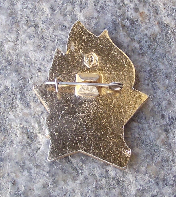 Vintage For Active Work Award Soviet Russian Young Pioneer Youth Lenin Pin Badge