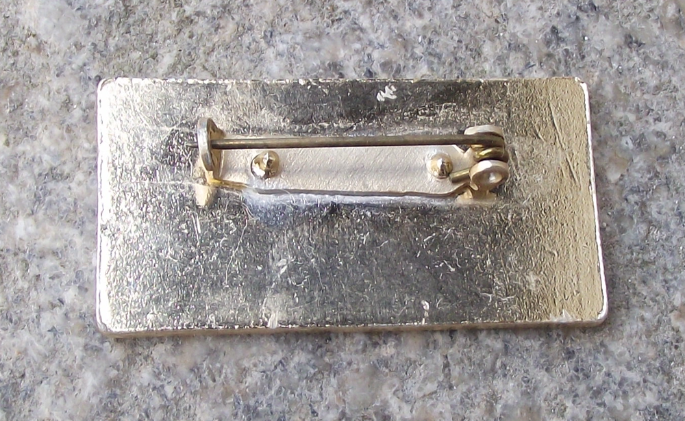 Vintage Pioneer Czech Pionýr Camp 3 Star ROH Pin Badge