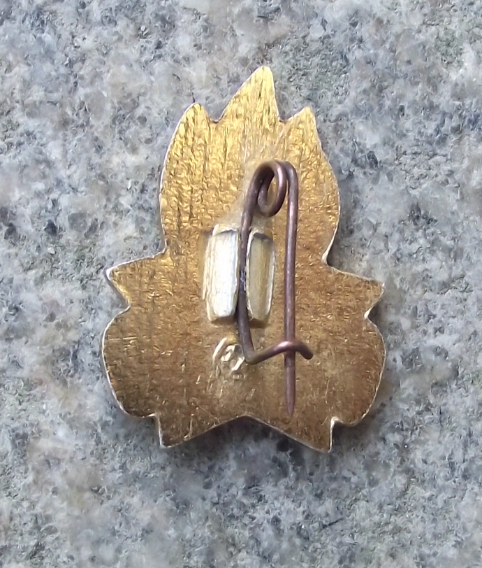 Soviet Young Pioneer Youth Always Ready Slogan Red Star Flames Pin Badge