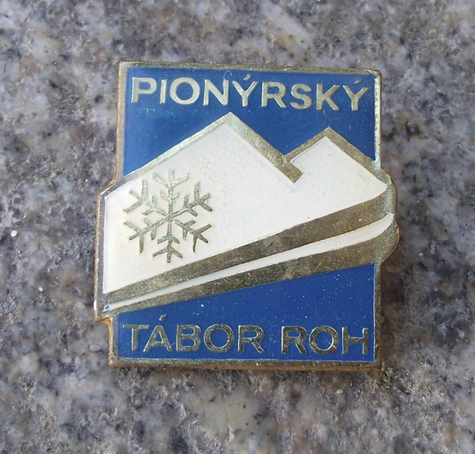 Vintage Czech Pioneer Pionyr Youth Camp Mountain Skiing ROH Pin Badge