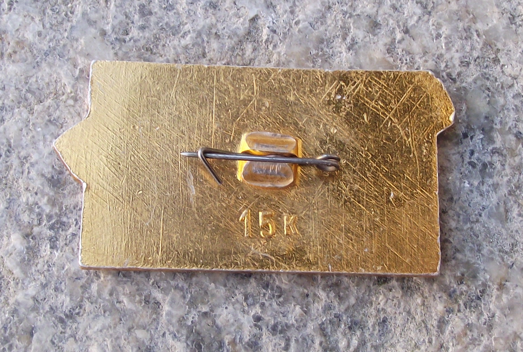 Vintage Soviet Miklouho Maclay Passenger River Cruiser Ship Pin Badge - Badgecrazy