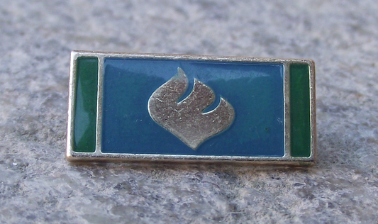 Vintage Pioneer Czech Scouts Blue Flame Ribbon Award Pin Badge