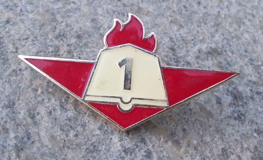 Vintage Czech Pioneer Pionyr Youth Association Book Grade 1 Pin Badge