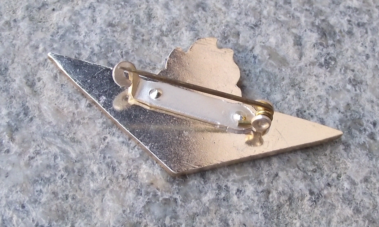Vintage Czech Pioneer Pionyr Youth Association Book Grade 1 Pin Badge