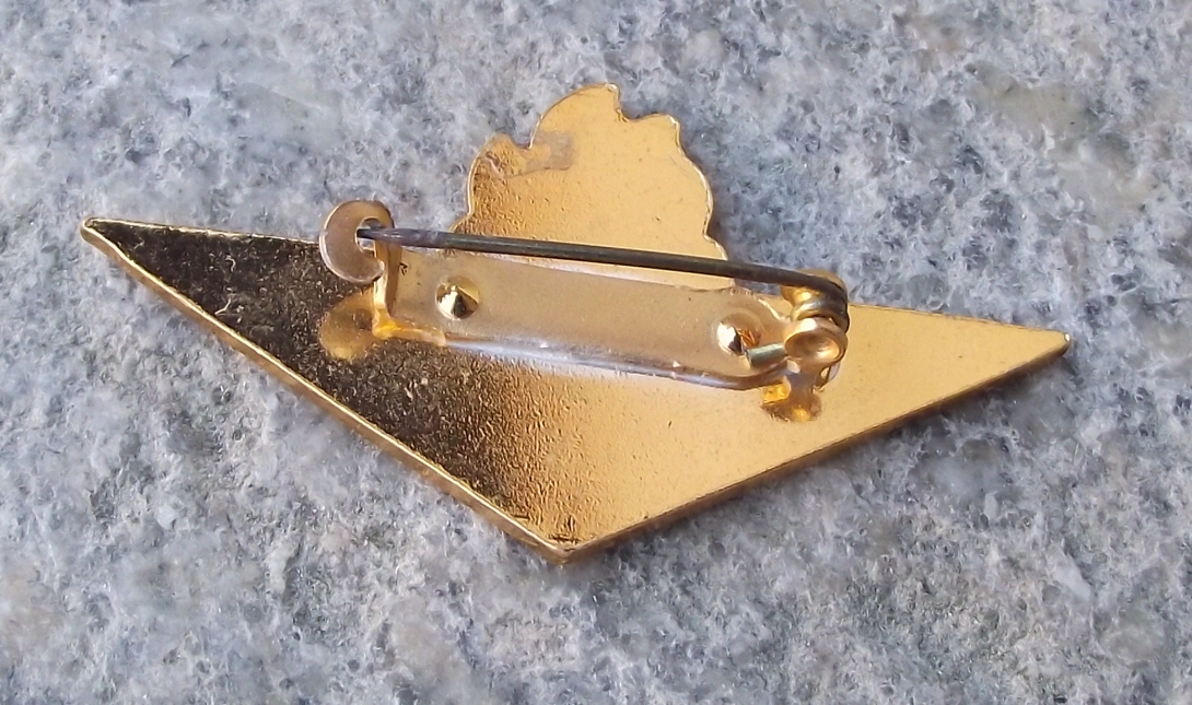Vintage Czech Pioneer Pionyr Youth Association Book Grade 3 Pin Badge