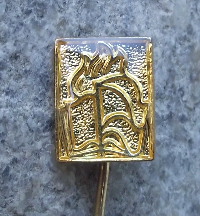 Vintage Czechoslovakia Pioneer Youth Group Movement Official Logo Pin Badge