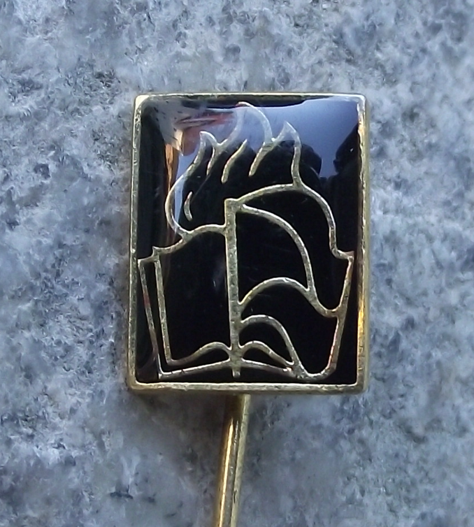 Vintage Czechoslovakia Pioneer Youth Group Movement Official Logo Pin Badge