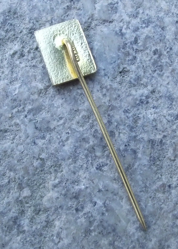 Vintage Czechoslovakia Pioneer Youth Group Movement Official Logo Pin Badge