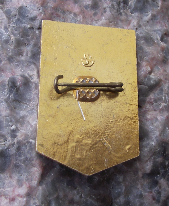 Vintage Shock Worker of Communist Labour Lenin Award Pin Badge