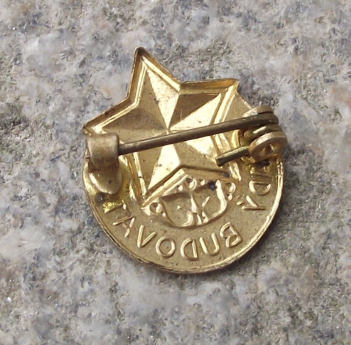 Vintage Czechoslovakia Pioneer Pionýr Association Young Builder Pin Badge