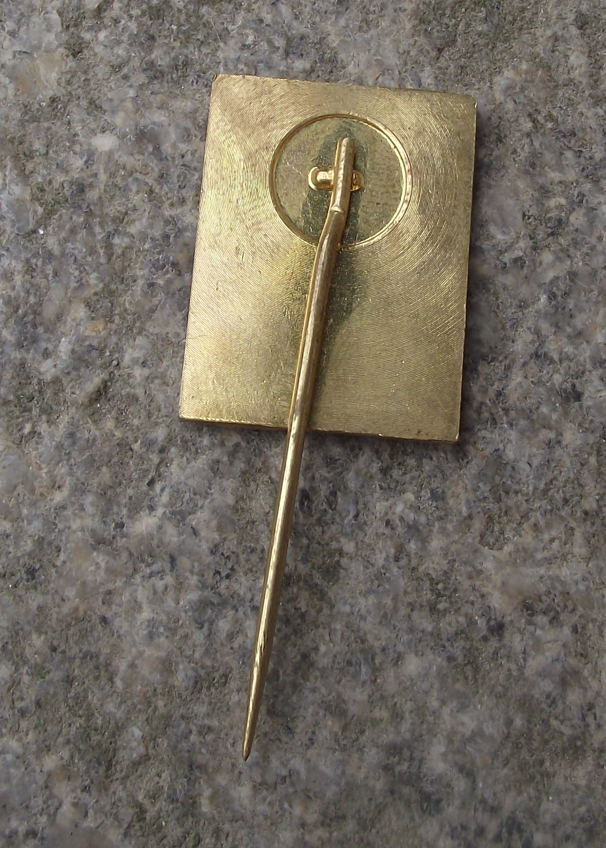 Vintage Czech Pioneer Pionyr Youth Camp ROH Pin Badge