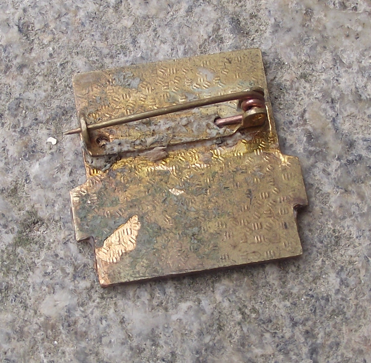 Vintage Czech Pioneer Pionyr Youth Camp Swimming ROH Pin Badge (Copy)