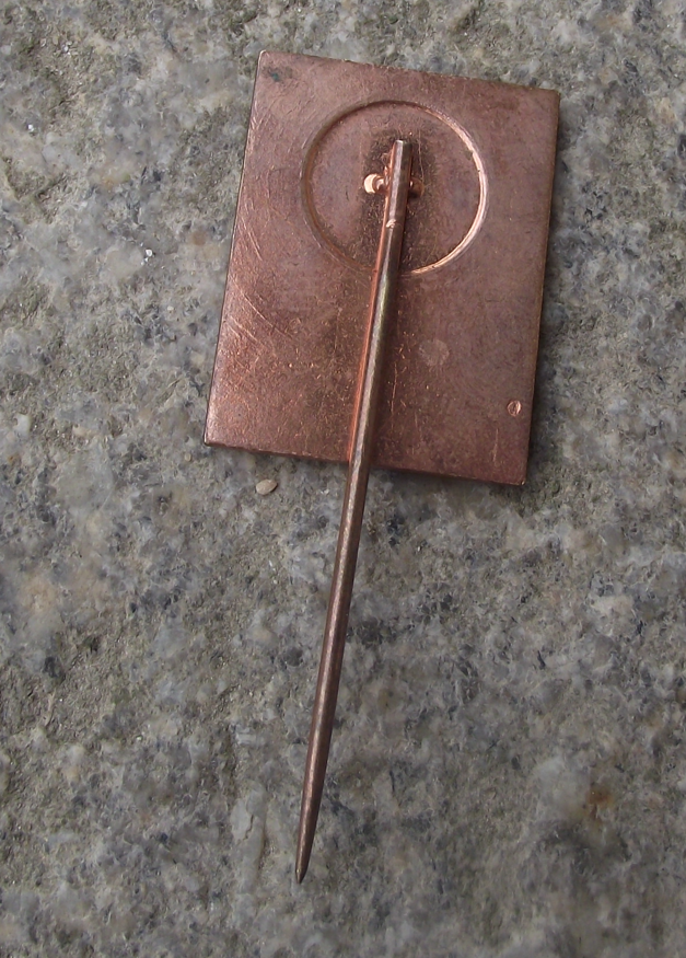 Vintage Czech Pioneer Pionyr Youth Camp ROH Star Compass Pin Badge