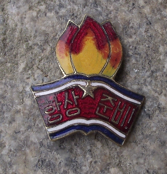 Vintage North Korean Pioneers Organization Youth Group Flames Pin Badge