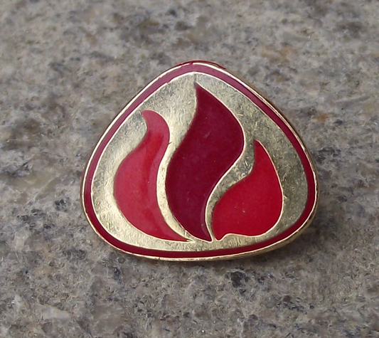 Vintage Czechoslovakia Pioneer Pionýr Youth Association Flames Pin Badge