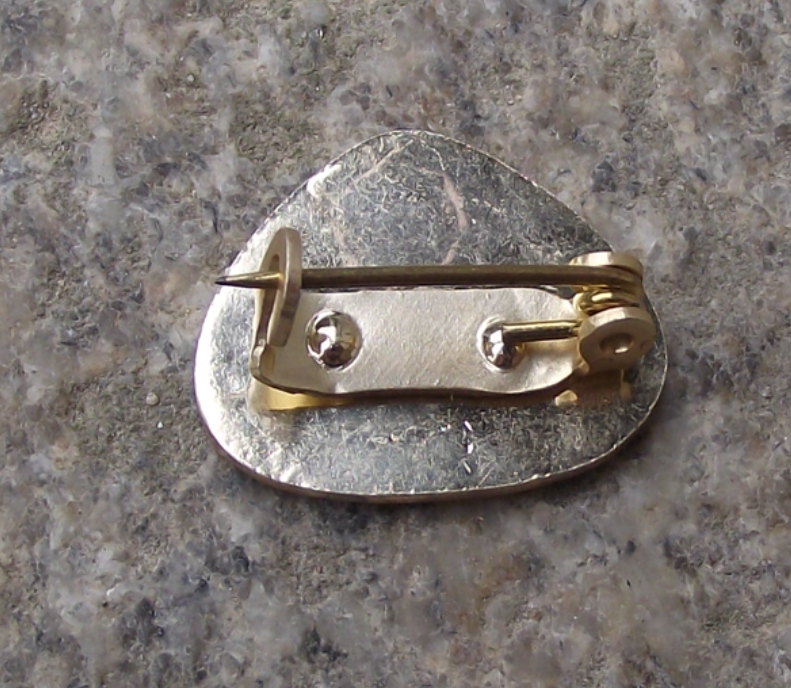 Vintage Czechoslovakia Pioneer Pionýr Youth Association Flames Pin Badge