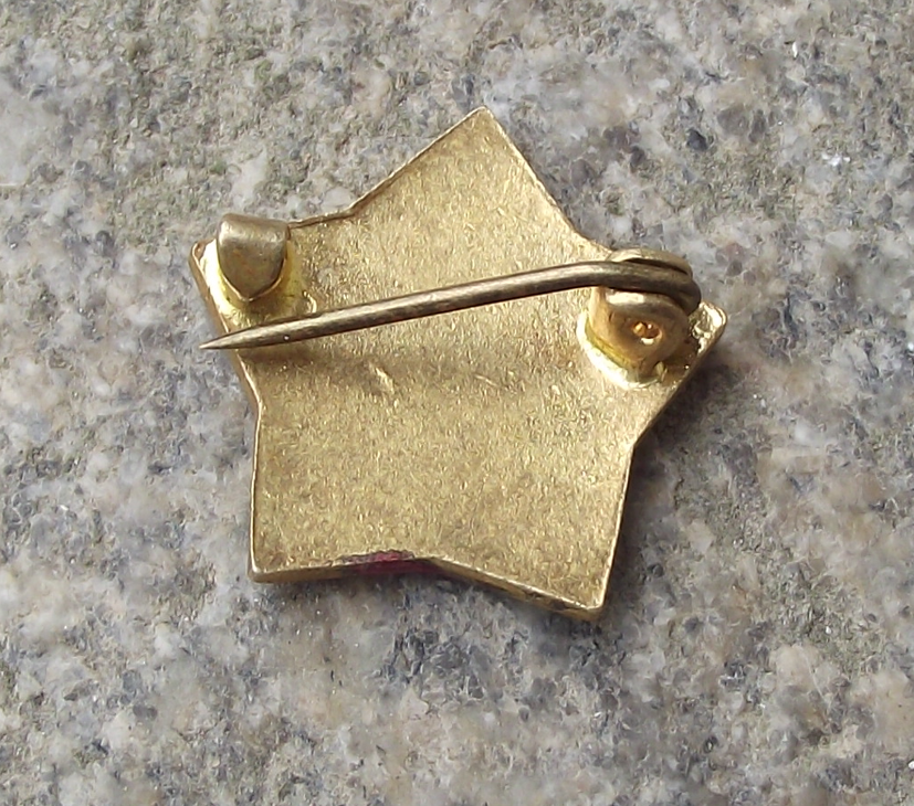 Vintage Czechoslovakia Pioneer Camp Flames Red Star Youth Group Pin Badge