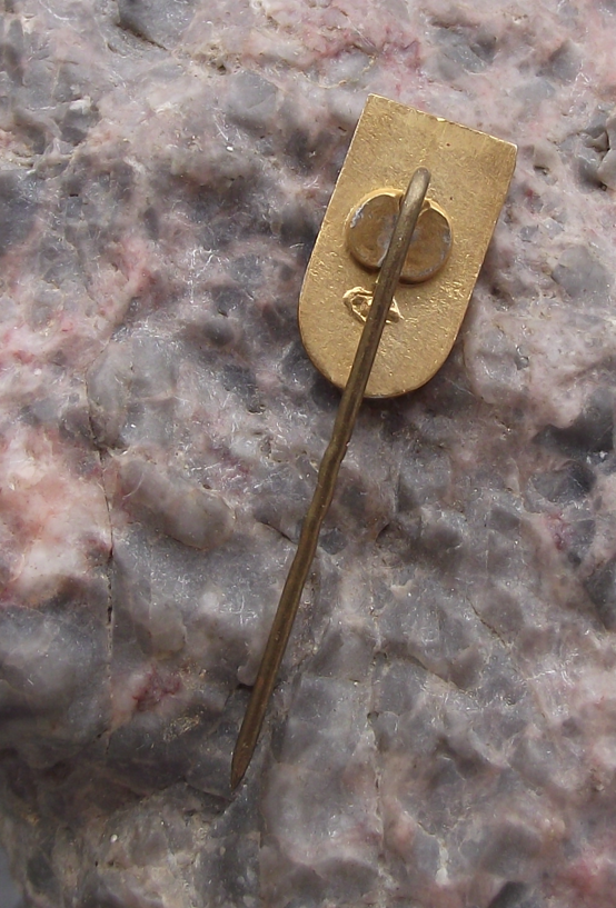 Vintage Vilnius Capital City Lithuania Tourist Souvenir Aircraft Pin Badge