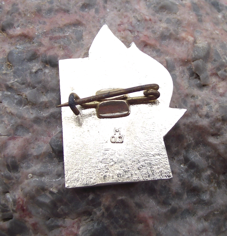 1972 Soviet Young Pioneer Youth Red Flaming Star 50th Anniversary Pin Badge