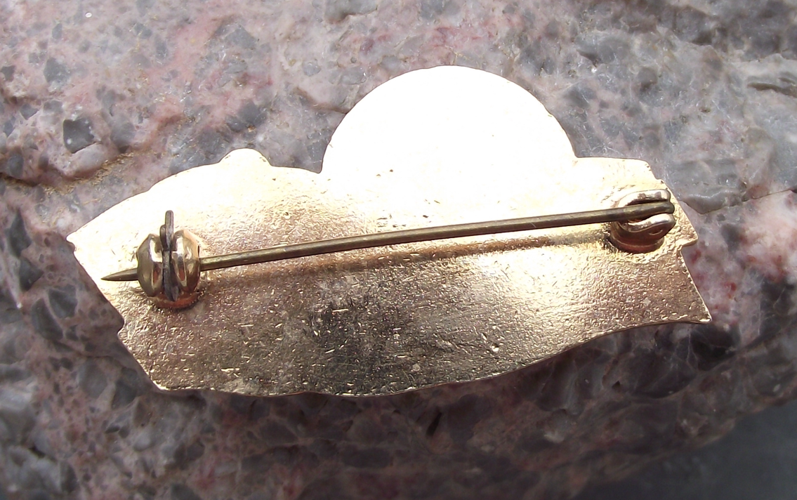 Vintage Czech Women's Union CSZ For Dedicated Work Award Pin Badge