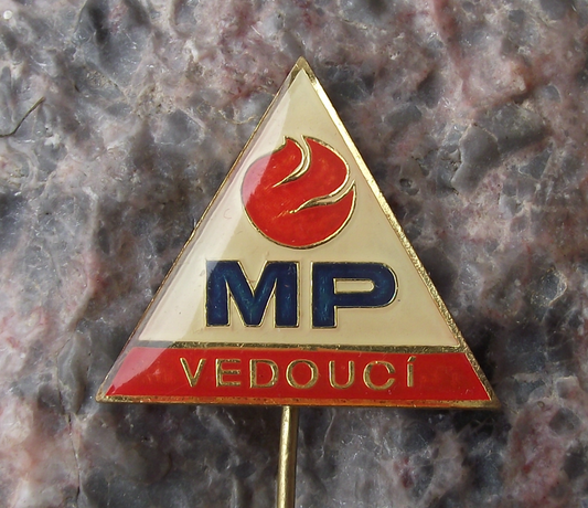 Vintage Czech Young Fire Fighter Pioneer Youth Leader Pin Badge