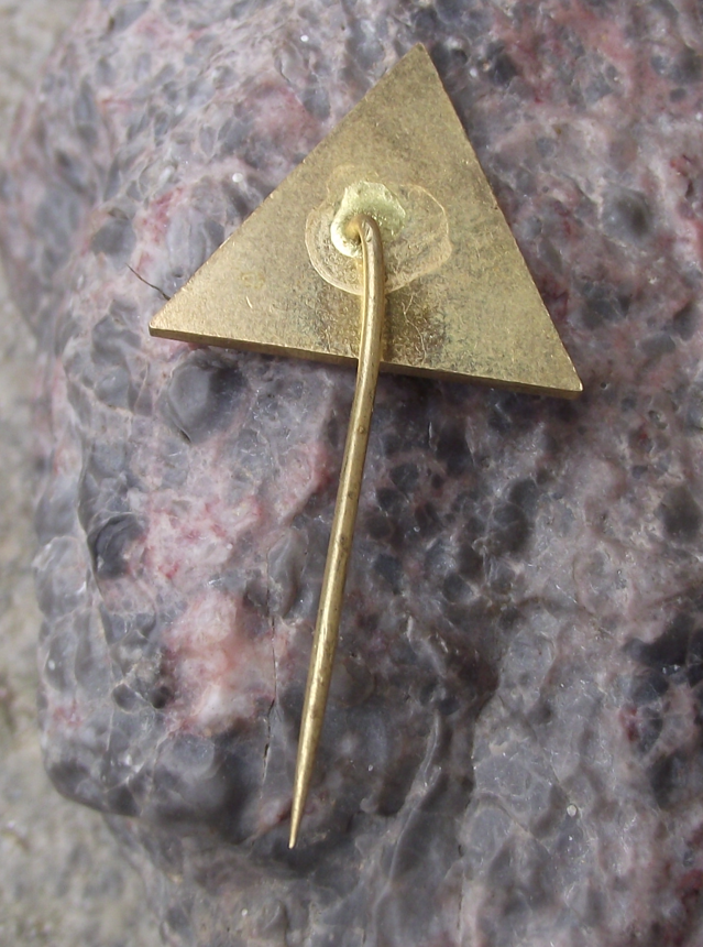 Vintage Czech Young Fire Fighter Pioneer Youth Leader Pin Badge