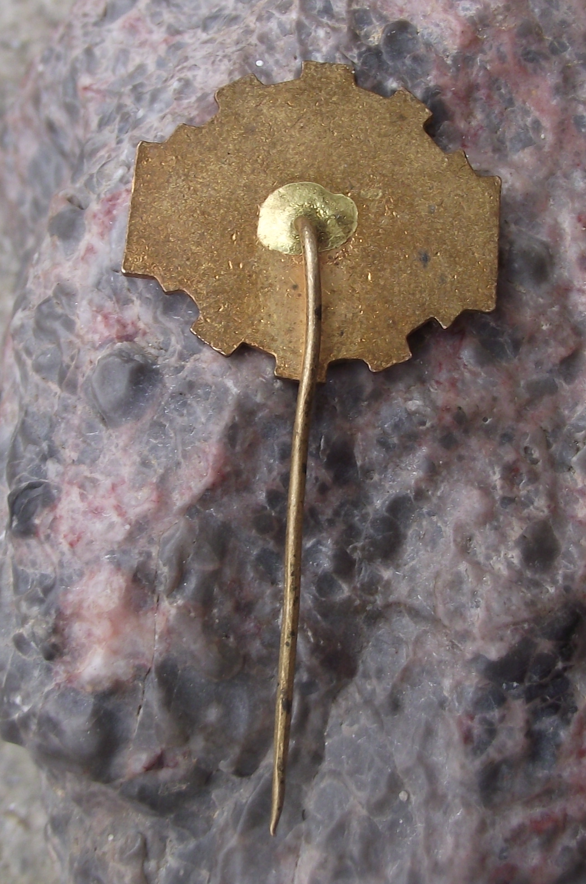 1960 Czechoslovakia Conarky Guinea National Flags Pin Badge
