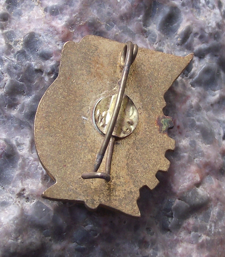 Vintage Romania General Labour Trade Union UGS Membership Pin Badge