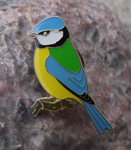 European Eurasian Blue Tit Garden Bird Table Pin Badge - Badgecrazy