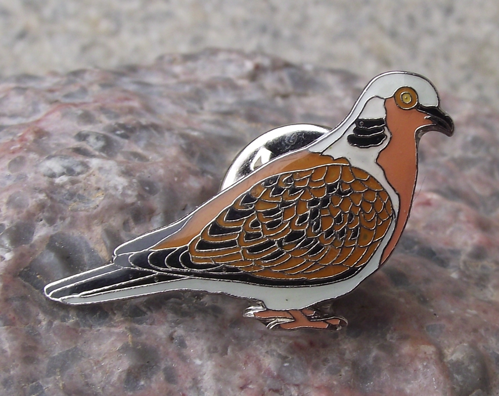 European Turtle Dove Threatened Dove Pigeon Species Garden Bird Pin Badge - Badgecrazy