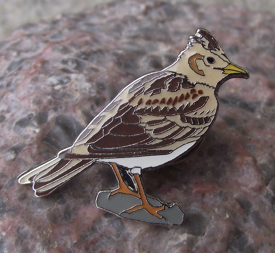 Eurasian Skylark Alauda Garden Song Bird Pin Badge - Badgecrazy