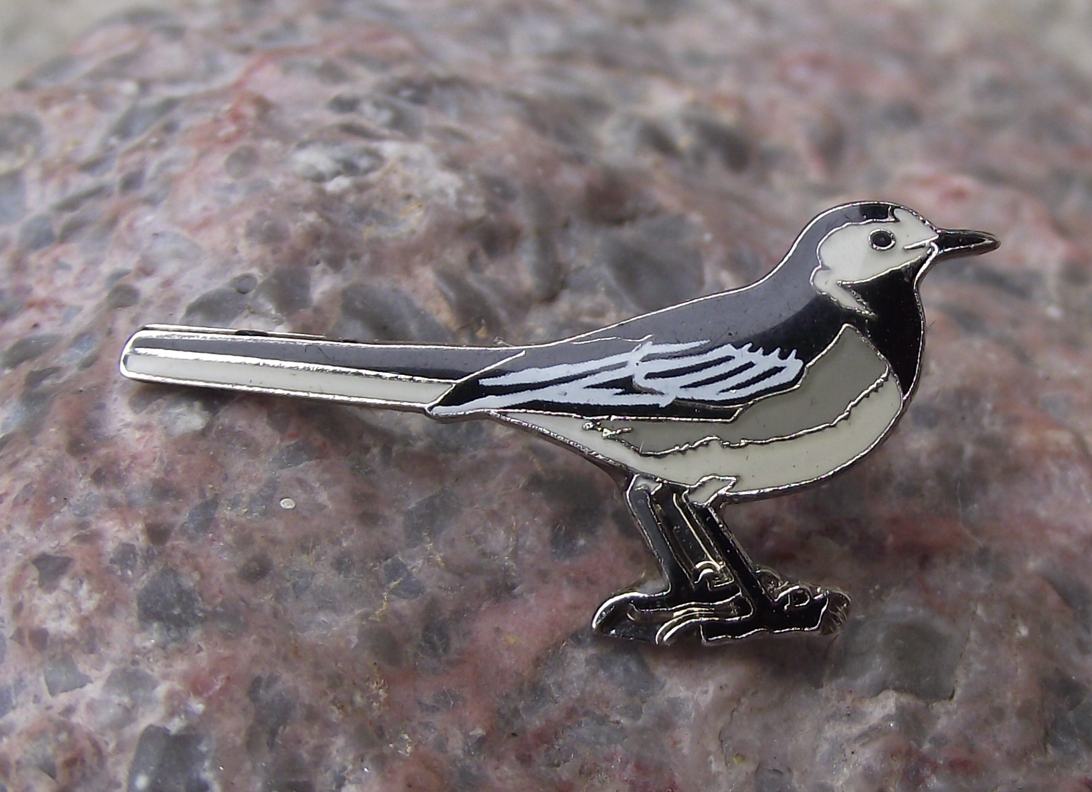 European Pied Wagtail Garden Meadow Bird Pin Badge - Badgecrazy