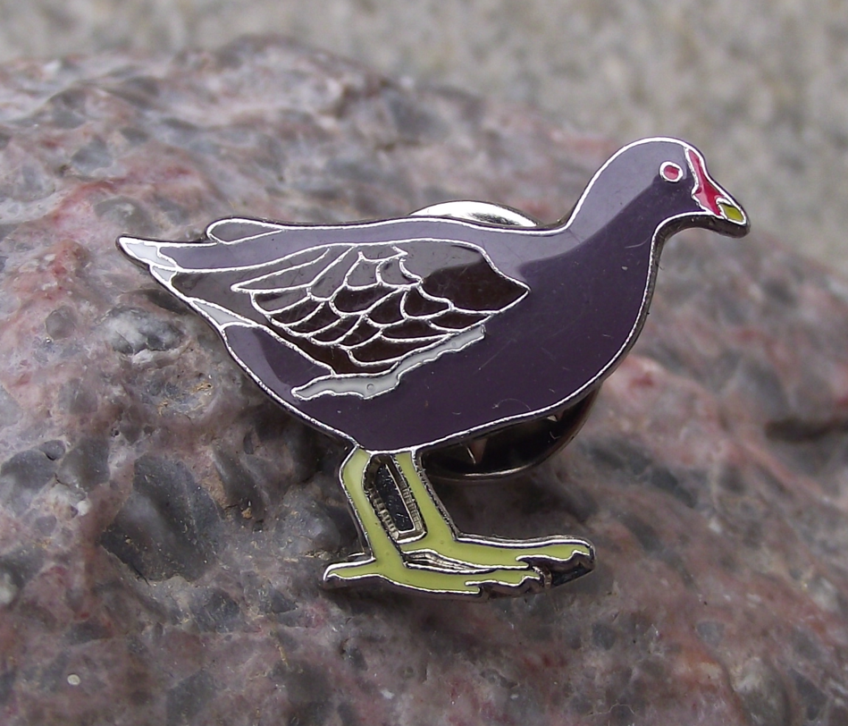 Common Marsh Hen Moorhen European Duck Fresh Water Bird Pin Badge - Badgecrazy