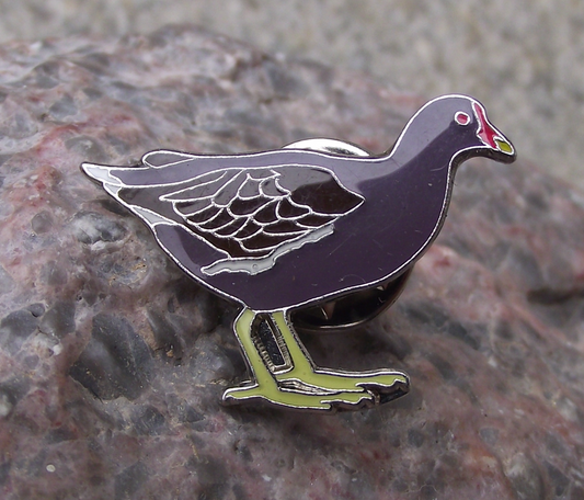 Common Marsh Hen Moorhen European Duck Fresh Water Bird Pin Badge - Badgecrazy