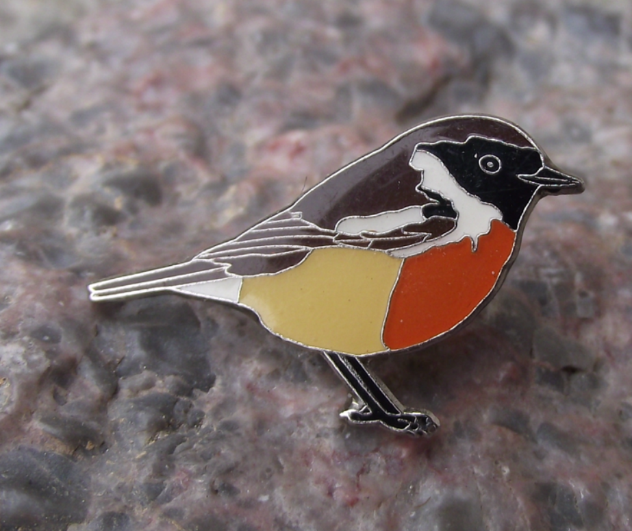 European Saxicola Stonechat Garden Song Bird Pin Badge - Badgecrazy