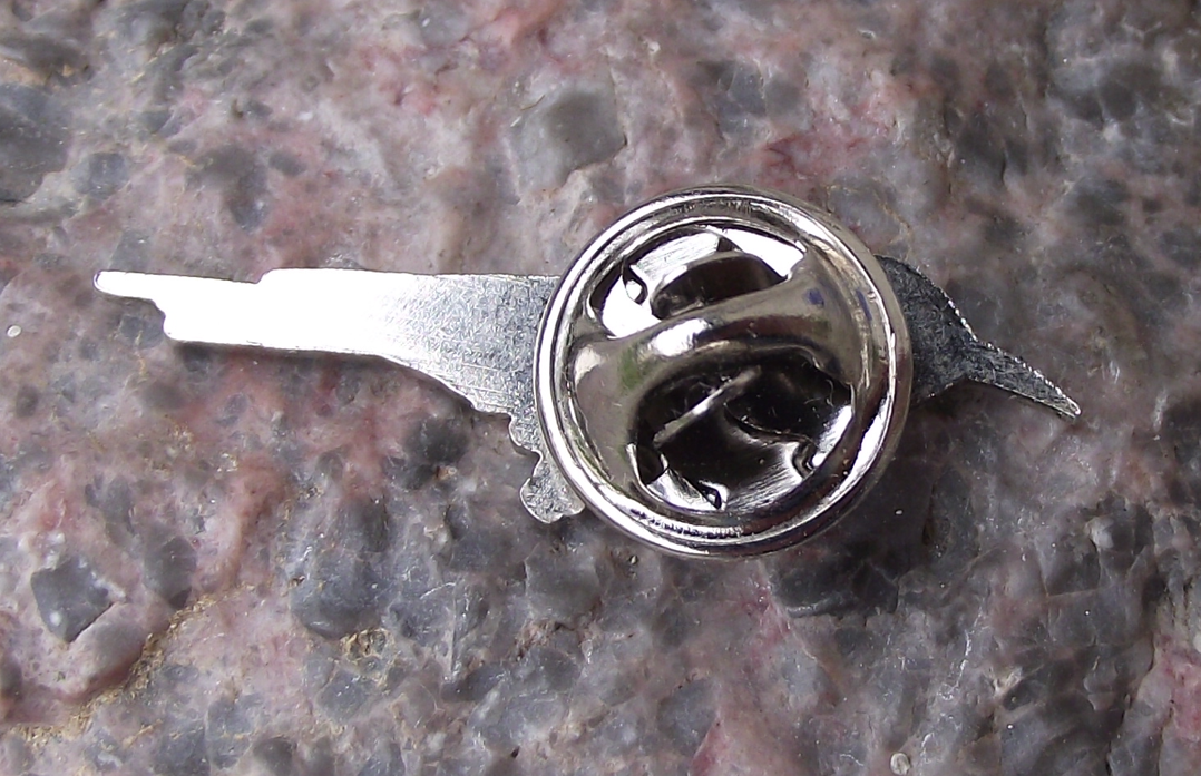 European Bee Eater Insect Eating Migratory Bird Pin Badge - Badgecrazy