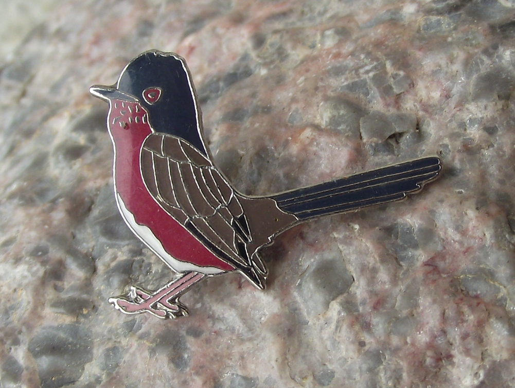 Dartford Warbler Curruca undata Garden Song Bird Pin Badge - Badgecrazy