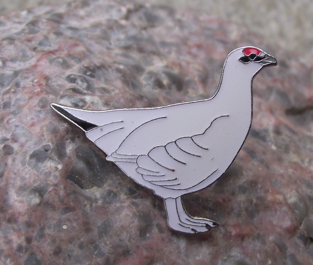 Rock Ptarmigan White Grouse Game Winter Plumage Bird Pin Badge