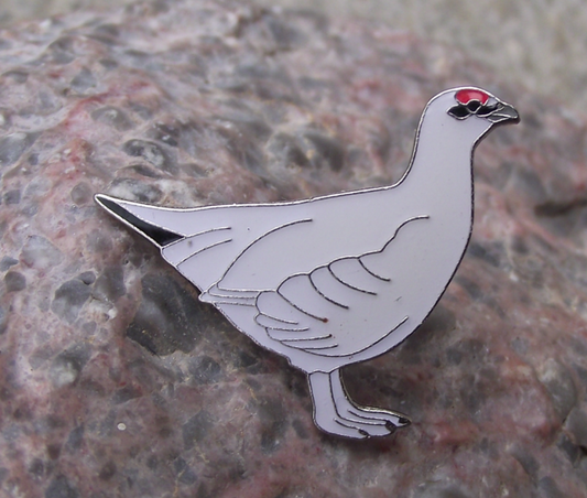 Rock Ptarmigan White Grouse Game Winter Plumage Bird Pin Badge