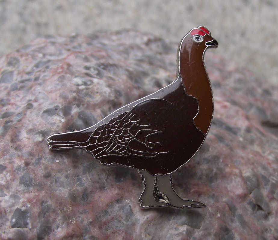 Rock Ptarmigan Brown Grouse Summer Plumage Game Bird Pin Badge