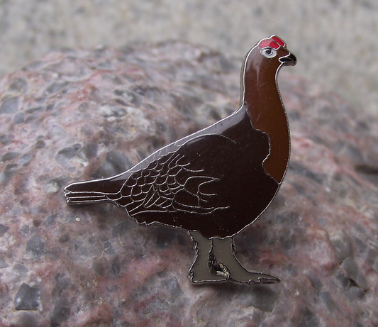 Rock Ptarmigan Brown Grouse Summer Plumage Game Bird Pin Badge