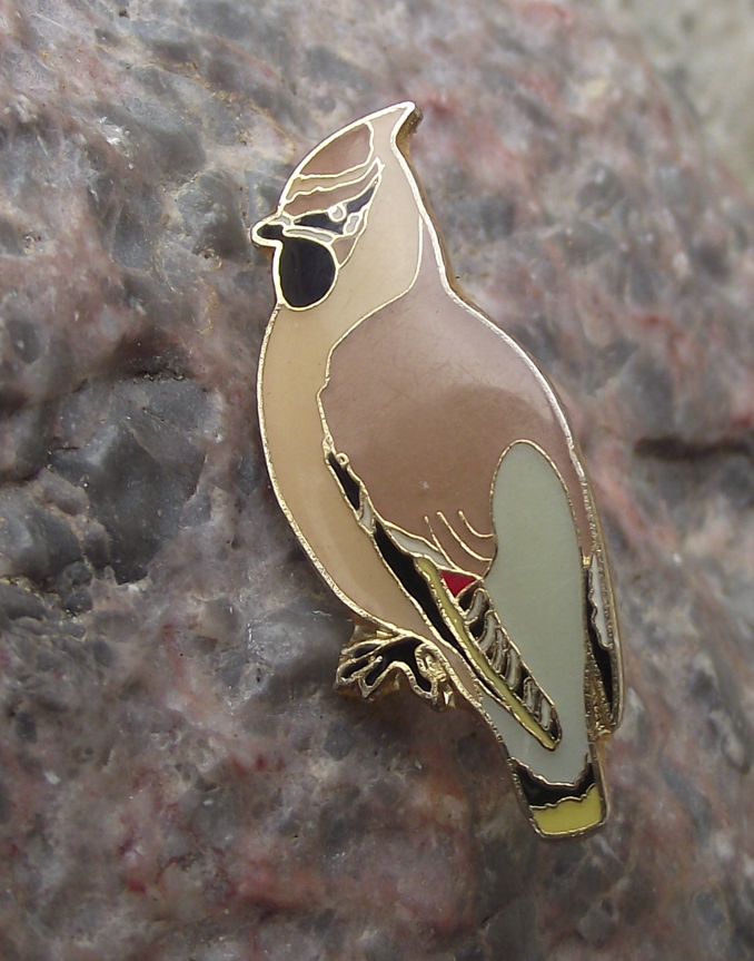 Cedar Waxwing Garden Bird Pin Badge - Badgecrazy