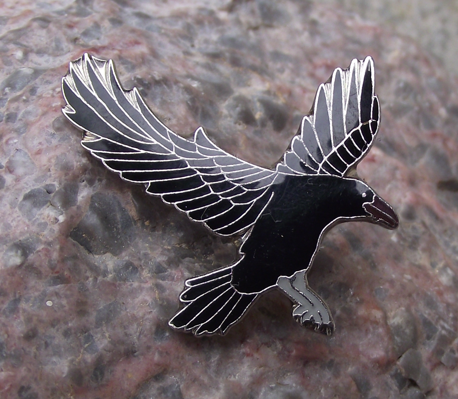 European Black Crow Corvid Corvidae Family Garden Bird Pin Badge - Badgecrazy