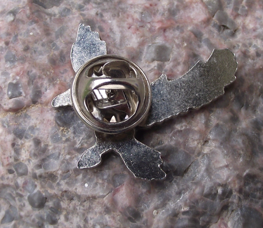 European Black Crow Corvid Corvidae Family Garden Bird Pin Badge - Badgecrazy