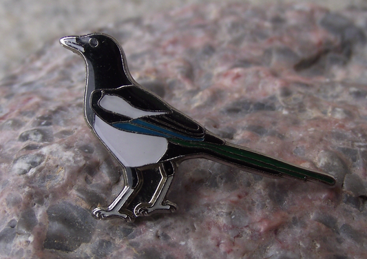 European Magpie Corvid Corvidae Family Garden Bird Pin Badge - Badgecrazy