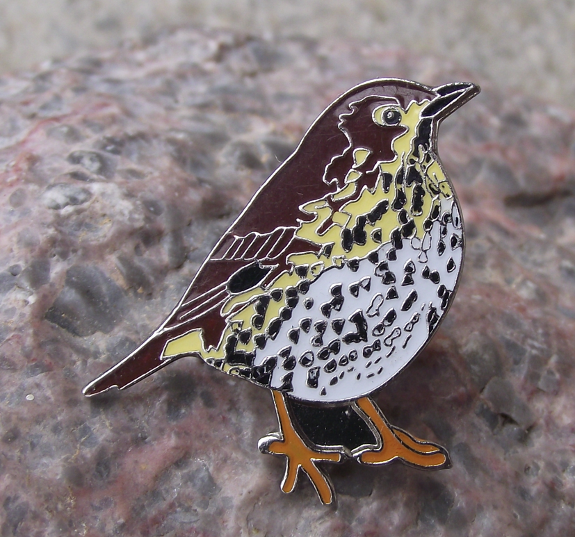 Mistle Thrush Garden Song Bird Pin Badge - Badgecrazy