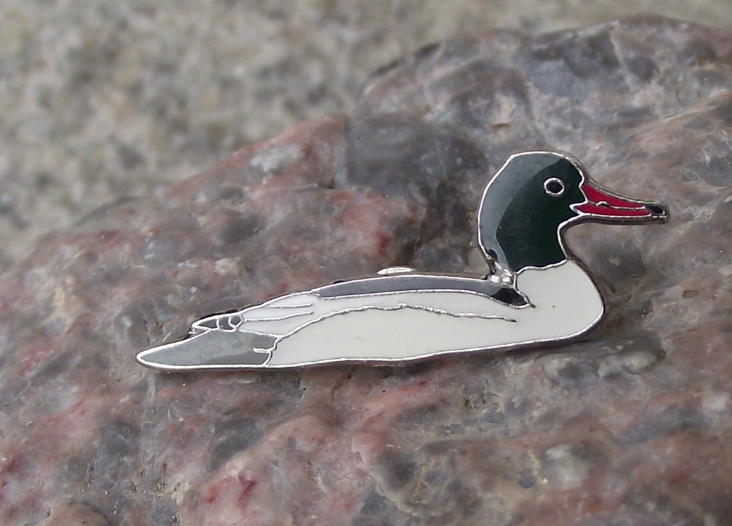 Common Merganser European Duck Fresh Water Bird Pin Badge - Badgecrazy