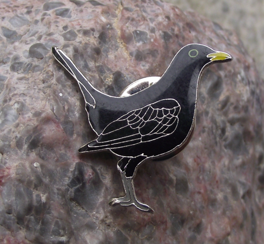 European Common Blackbird Bird Pin Badge - Badgecrazy