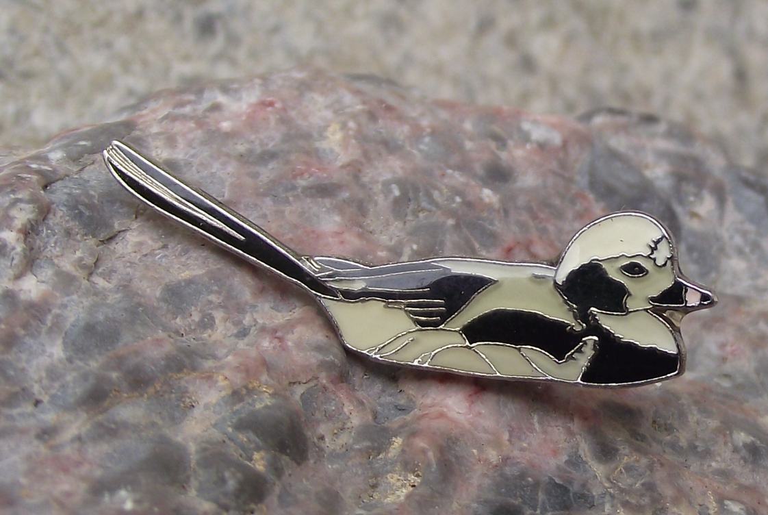 Long-tailed European Duck Fresh Water Bird Pin Badge - Badgecrazy